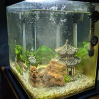 Acquario 30 LT completo