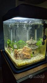 Acquario 30 LT completo
