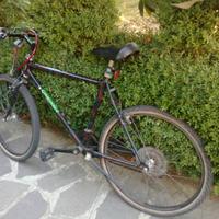 Bici Girardengo