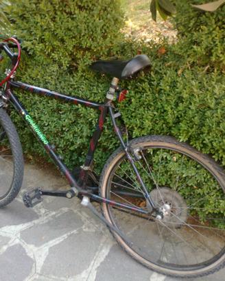 Bici Girardengo