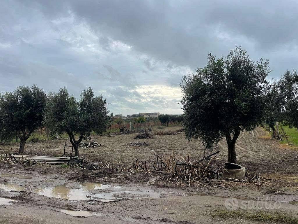 Terreno di 3550 m² a Mondragone - Vista 2
