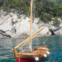 Gozzo vela latina