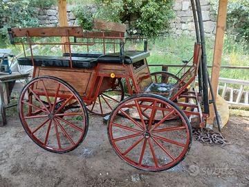 carrozza per cavalli
