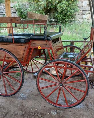 carrozza per cavalli