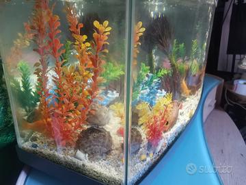 Acquario completo