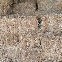 Ballette paglia e fieno