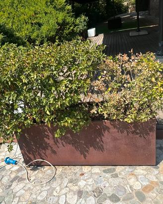 5 Fioriere in VERO Acciaio Corten Coibentate