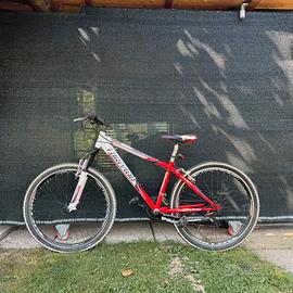 Bicicletta Torpado