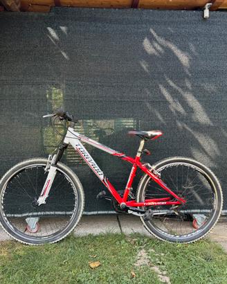 Bicicletta Torpado