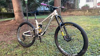 Propain Tyee 2024 L
