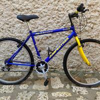 Bicicletta - mountain bike 26