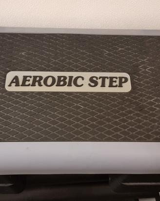 step  usati da palestra. 