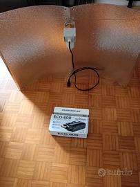 Lampada e vasche per idroponica