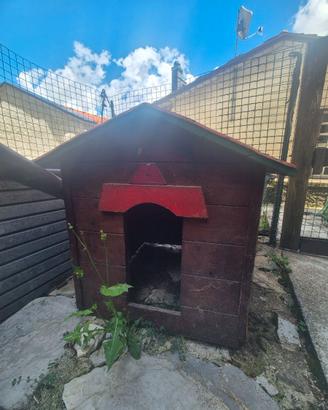 Cuccia per cani