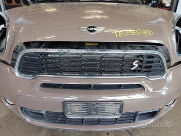 Griglia anteriore MINI COUNTRYMAN del 2011