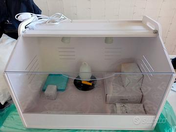 Incubatrice per pulcini, rettili e piccoli animali