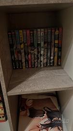 Manga e action figure
