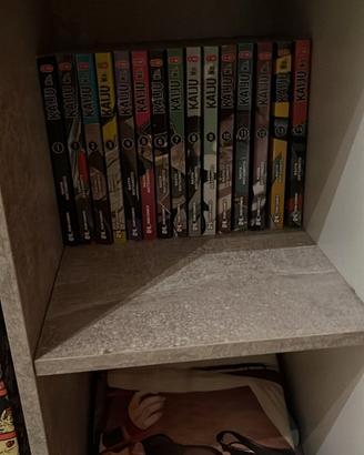 Manga e action figure