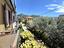 Immagine 24