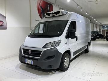 FIAT Ducato 35 2.3 MJT 130CV PLM-TA Coibentat...