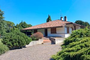 Torviscosa splendida villa