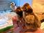 Immagine 2