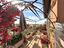 Immagine 9
