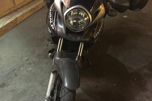 Splendida honda transalp