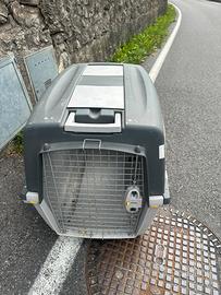 n.2 box per trasporto cani