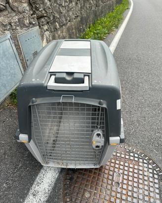 n.2 box per trasporto cani