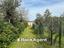 Immagine 10