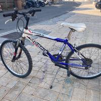 bicicletta  24  Morris MTB Snake