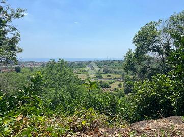 TER. AGRICOLO A GIARRE