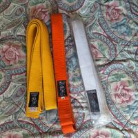 Kimono Gi Karate Cinture