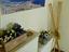 Immagine 5