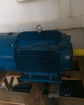 Motore trifase Emc 22kW