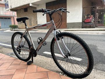Bicicletta 26