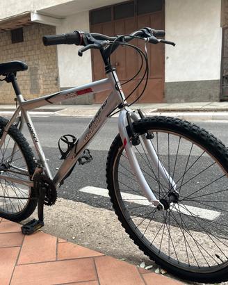 Bicicletta 26