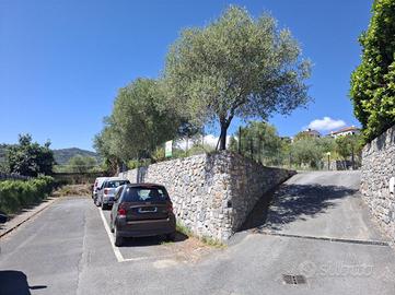 POSTO AUTO A DIANO CASTELLO