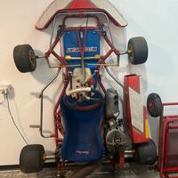 Go kart birel ex mondiale 100cc