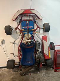 Go kart birel ex mondiale 100cc