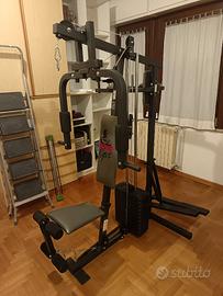 Palestra professionale