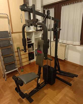 Palestra professionale