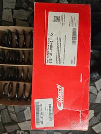 Molle Eibach Fiesta VI/VII