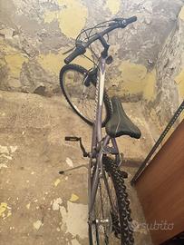 Bicicletta Montana