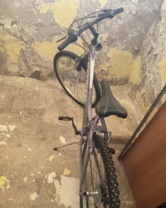 Bicicletta Montana