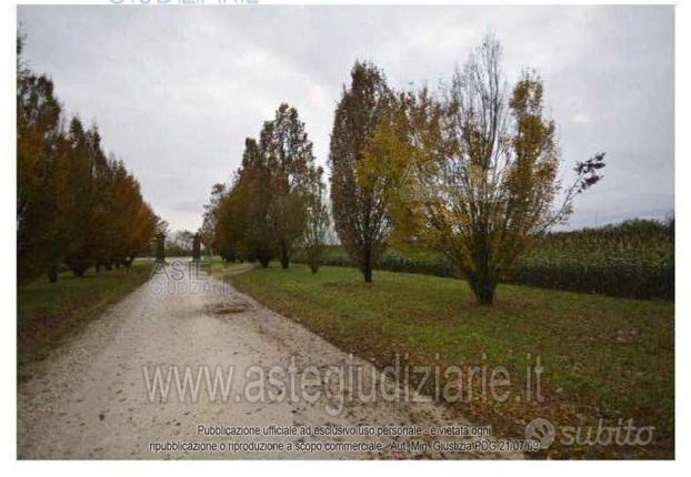 Terreno Agricolo Mantova [A4312539]