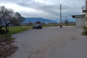 Capannone c3 per uso deposito