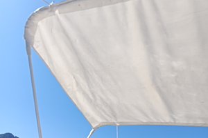 Barca Open con motore