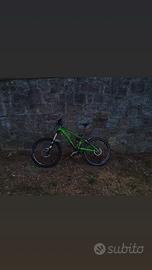Mountain bike